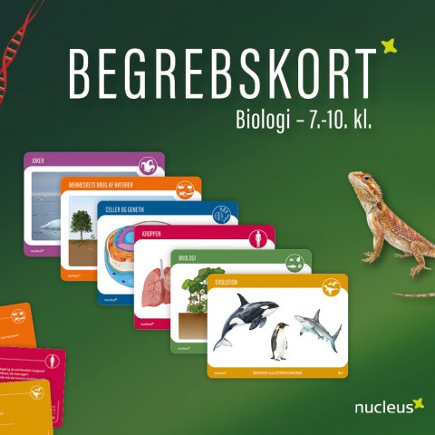 Begrebskort FS_æske_TOP_forside_web_BESKÅRET